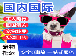 台州路桥空运代理国际宠物托运 【国